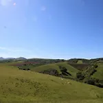 Haizteia